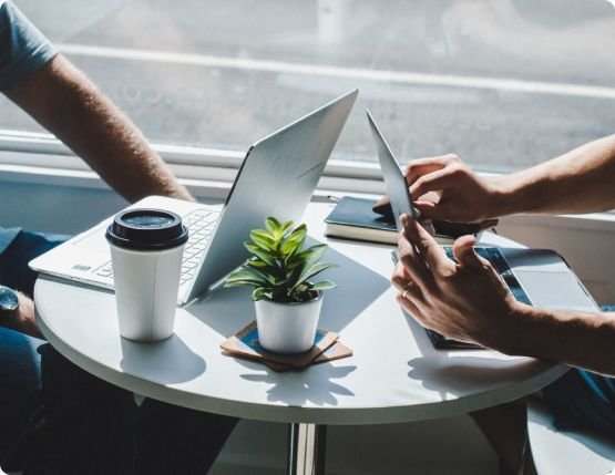 Connect with us to learn how Dairyverse.net works 